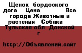 Щенок  бордоского  дога. › Цена ­ 60 000 - Все города Животные и растения » Собаки   . Тульская обл.,Донской г.